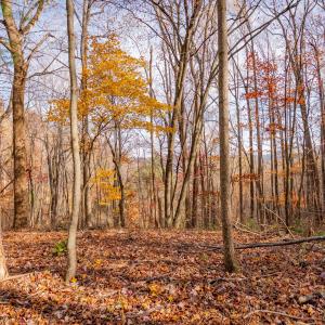 copper hill-8