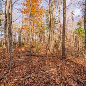 copper hill-9