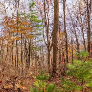copper hill-10