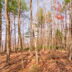 copper hill-11