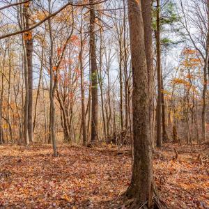 copper hill-12