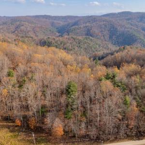 copper hill-14