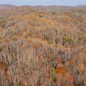 copper hill-19
