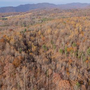 copper hill-22