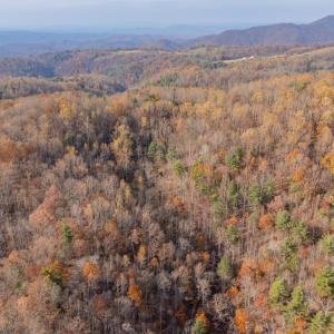 copper hill-24