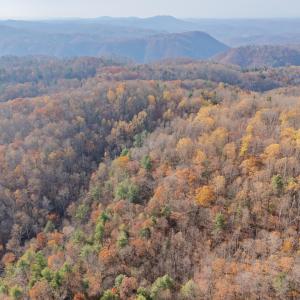 copper hill-26