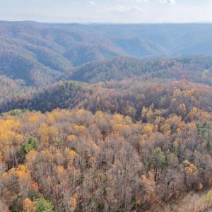 copper hill-30
