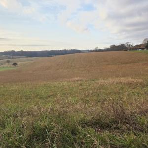 Welcome to Tract 1 Stewartsville Road