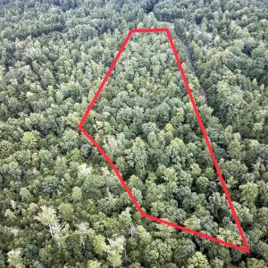 Lot 5 Reservoir View Sketch