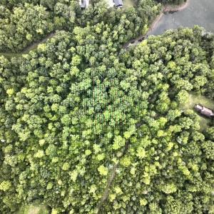 Lot 5 Reservior View Water at point of c