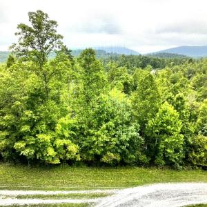 Lot 5 Reservoir View