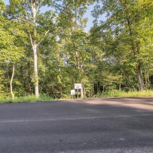 02-LOT 65 Ella Maria Ct_002