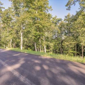 03-LOT 65 Ella Maria Ct_003