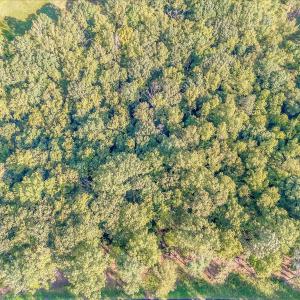 06-LOT 65 Ella Maria Ct_006