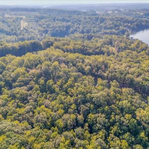 13-LOT 65 Ella Maria Ct_013