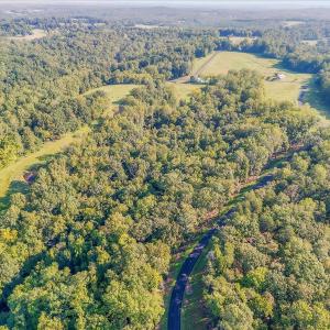 15-LOT 65 Ella Maria Ct_015