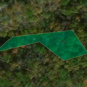 20-LOT 65 Ella Maria Ct_20