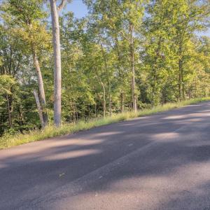 04-LOT 65 Ella Maria Ct_004