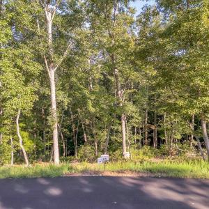 05-LOT 65 Ella Maria Ct_005