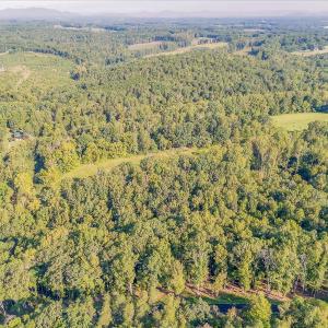 07-LOT 65 Ella Maria Ct_007