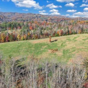 48-DJI_20251103153605_0038_D