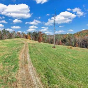 12-DJI_20251103152105_0002_D