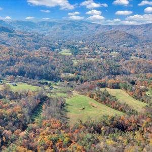 31-DJI_20251103152942_0021_D