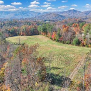 49-DJI_20251103153655_0039_D