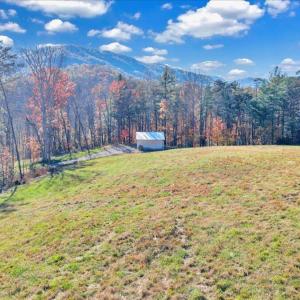 54-DJI_20251103153826_0043_D