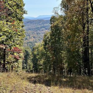 Mark webb powerline pic