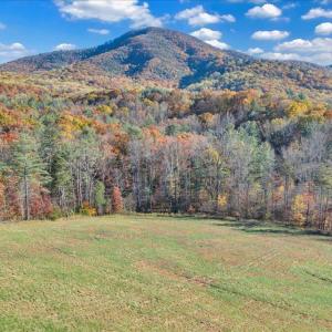 60-DJI_20251103154141_0052_D