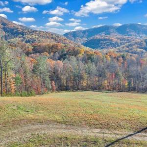 61-DJI_20251103154203_0053_D