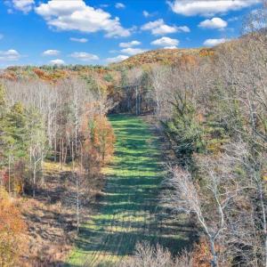 46-DJI_20251103153526_0036_D