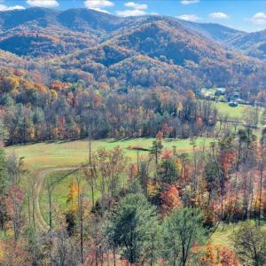 51-DJI_20251103153728_0041_D