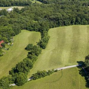 Photo #17 of GOODS LN, MADISON, VA 10.0 acres