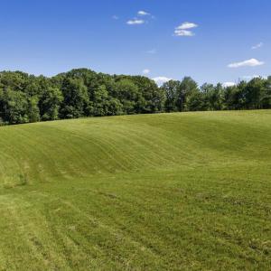 Photo #5 of GOODS LN, MADISON, VA 10.0 acres