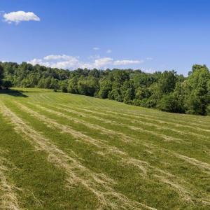 Photo #6 of GOODS LN, MADISON, VA 10.0 acres