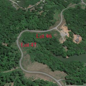 Lot 46 and 47