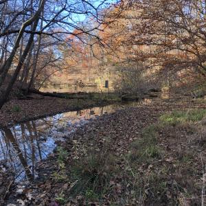 Base of Lot 47 towards the Lake