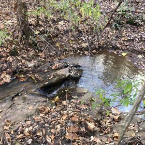 Creek frontage on Lot 46 and 47