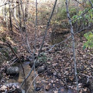 Creek frontage on Lots 46 and 47-3