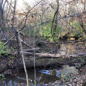 Creek frontage on Lots 46 and 47 -2