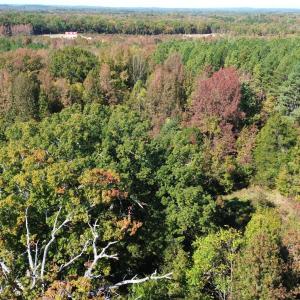 dji_fly_20251021_121358_230_176106331991