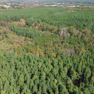 dji_fly_20251021_121536_234_176106338113