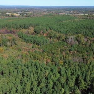 dji_fly_20251021_121614_236_176106338731