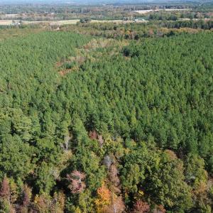 dji_fly_20251021_122930_240_176106418620