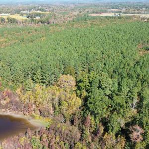 dji_fly_20251021_122924_239_176106418986