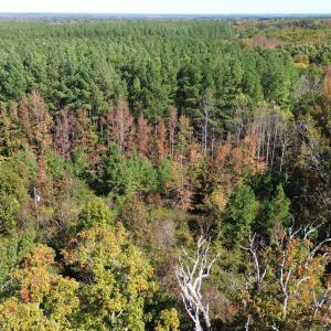 dji_fly_20251021_121300_229_176106332298