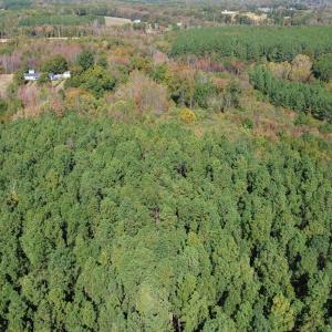 dji_fly_20251021_121454_231_176106331681