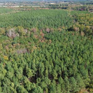 dji_fly_20251021_121544_235_176106339104